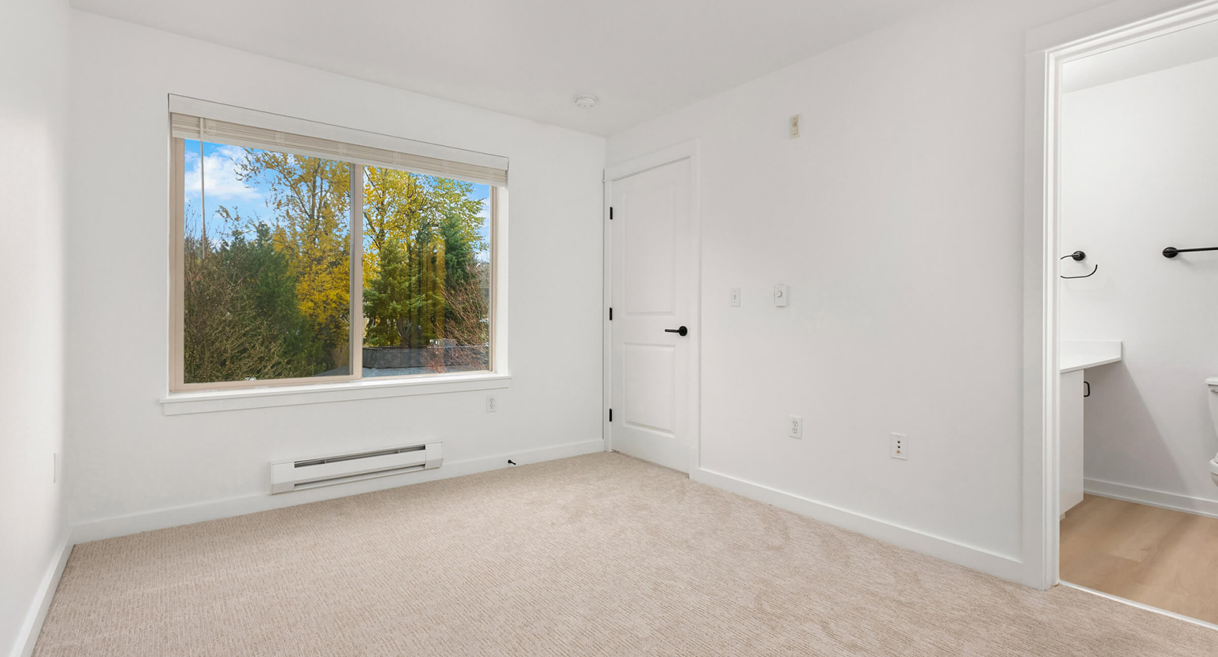 Modern Textured Carpet